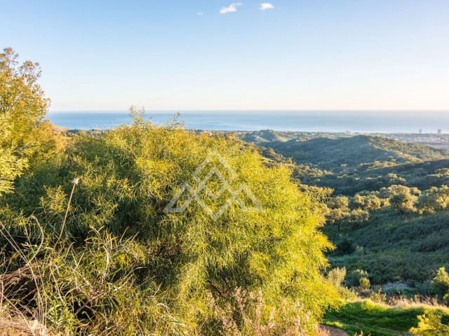 Mark till salu i Ojen - 9 000 000 € (Ref: 8799760)