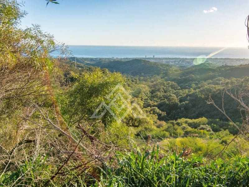 Rakentamaton maa myytävänä paikassa Ojen - 9 000 000 € (Ref: 8799760)