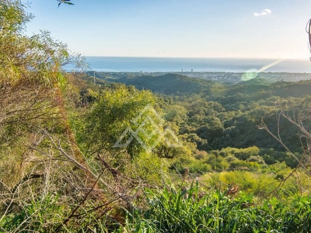 Mark till salu i Ojen - 9 000 000 € (Ref: 8799760)