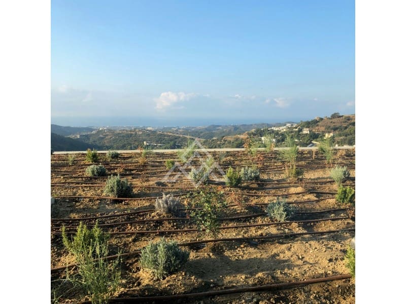 Chalet de 8 habitaciones en Benahavís en venta con piscina - 4.500.000 € (Ref: 8799841)