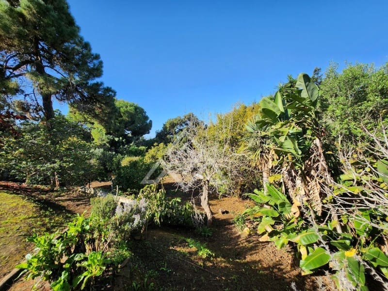 5 sypialnia Willa na sprzedaż w Marbella z basenem - 1 200 000 € (Ref: 8799859)