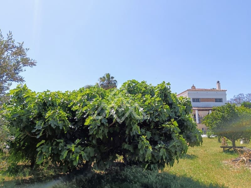 7 camera da letto Villa in vendita in Alhaurin de la Torre con garage - 905.000 € (Rif: 8999274)