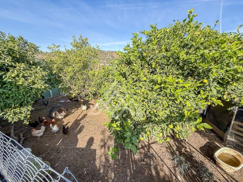 3 soveværelse Finca/Landehus til salg i Monda med garage - € 389.000 (Ref: 9398414)