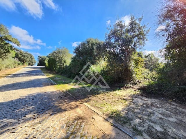 Teren niezagospodarowany na sprzedaż w Sotogrande, San Roque - 1 000 000 € (Ref: 9511267)