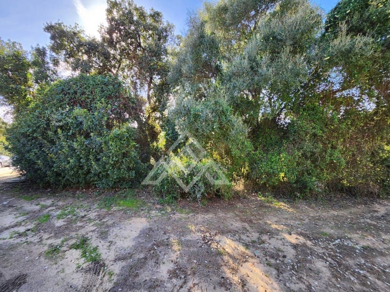 Teren niezagospodarowany na sprzedaż w Sotogrande - 1 000 000 € (Ref: 9511267)