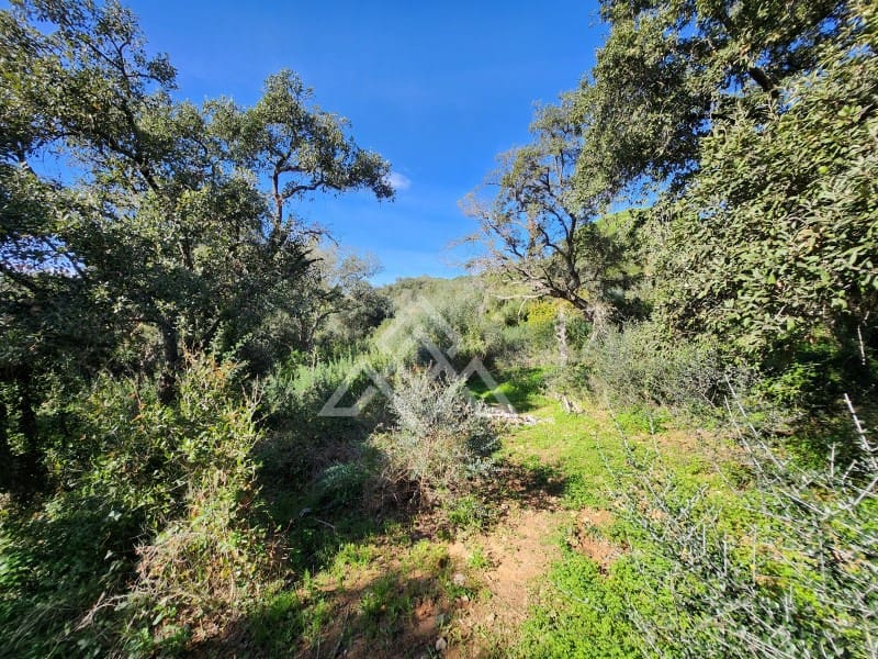 Teren niezagospodarowany na sprzedaż w Sotogrande - 1 000 000 € (Ref: 9511267)