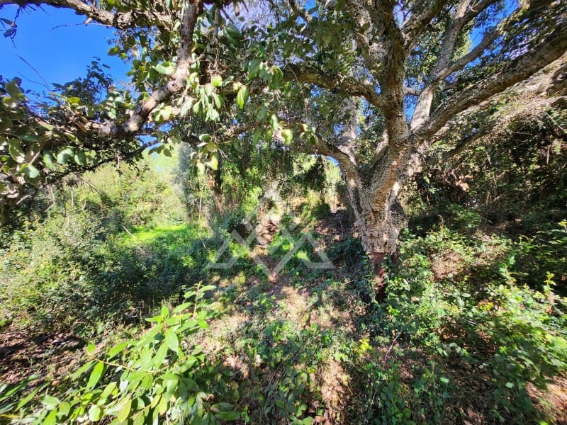 Teren niezagospodarowany na sprzedaż w Sotogrande - 1 000 000 € (Ref: 9511267)