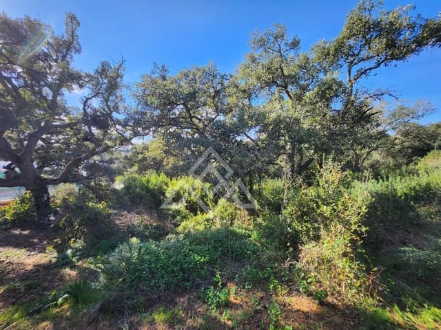 Teren niezagospodarowany na sprzedaż w Sotogrande, San Roque - 1 000 000 € (Ref: 9511267)