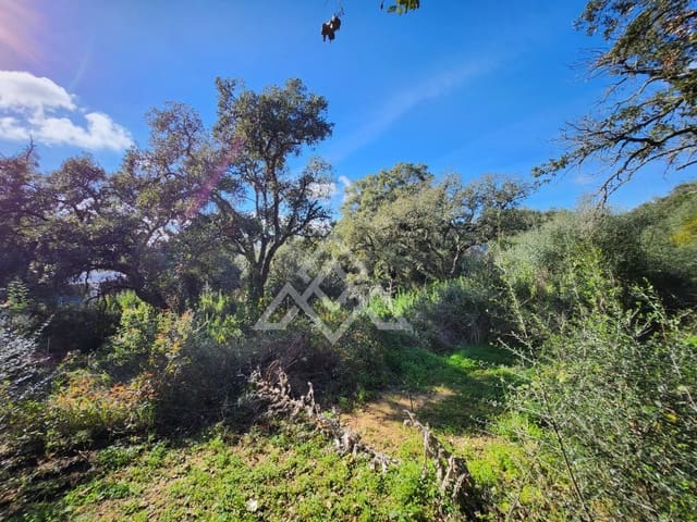 Teren niezagospodarowany na sprzedaż w Sotogrande, San Roque - 1 000 000 € (Ref: 9511267)