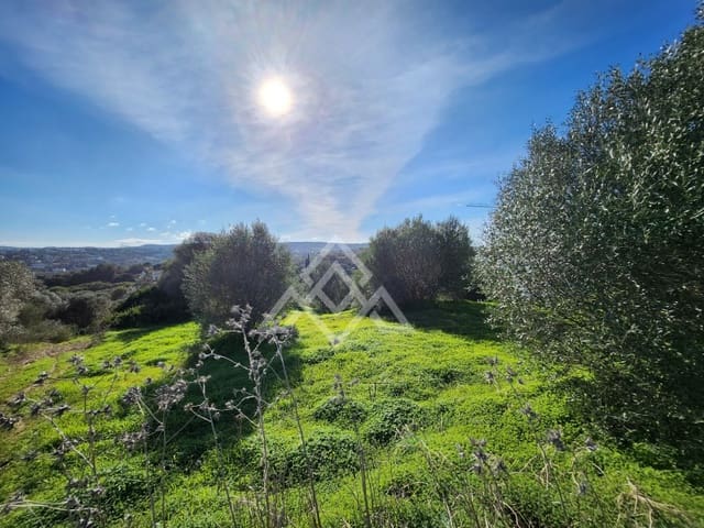 Terreno Não Urbanizado para venda em Sotogrande Alto, San Roque - 850 000 € (Ref: 9511270)