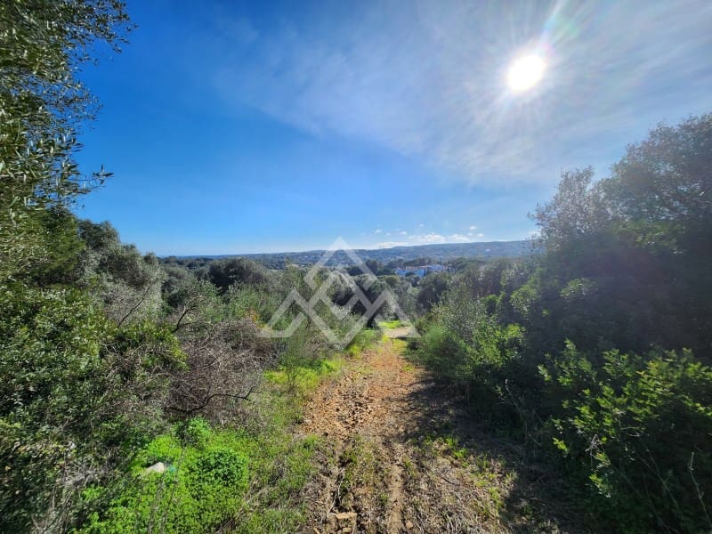 Terreno Não Urbanizado para venda em Sotogrande - 850 000 € (Ref: 9511270)