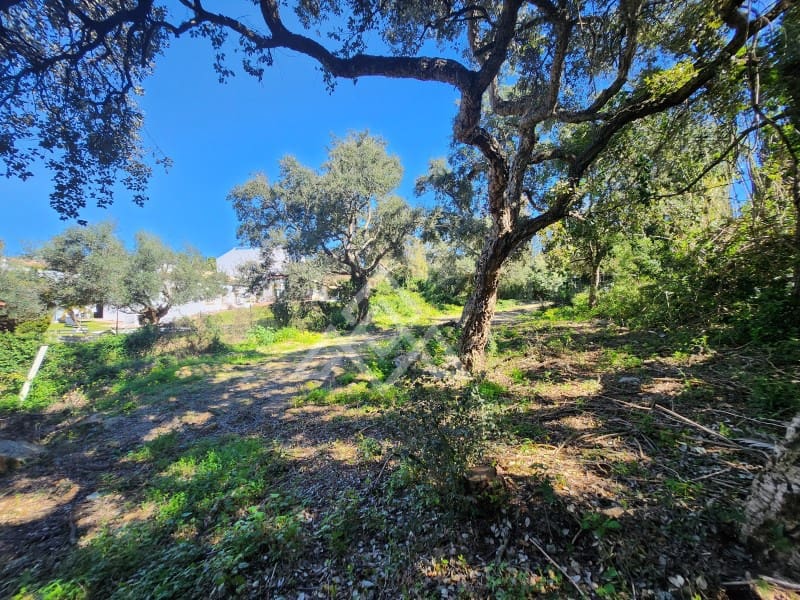 Bouwgrond te koop in Sotogrande - € 490.000 (Ref: 9634533)