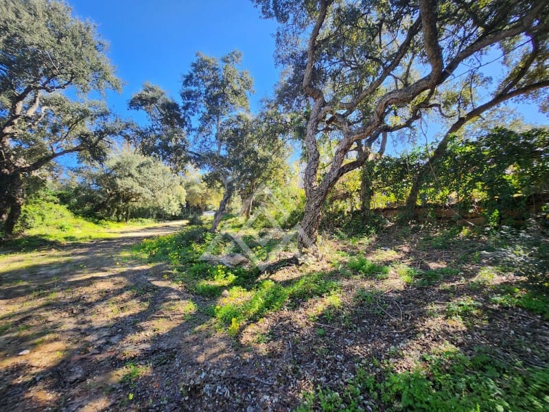 Bouwgrond te koop in Sotogrande - € 490.000 (Ref: 9634533)