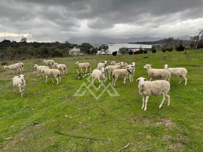 4 sovrum Finca/Hus på landet till salu i Cancelada - 1 410 500 € (Ref: 9655992)