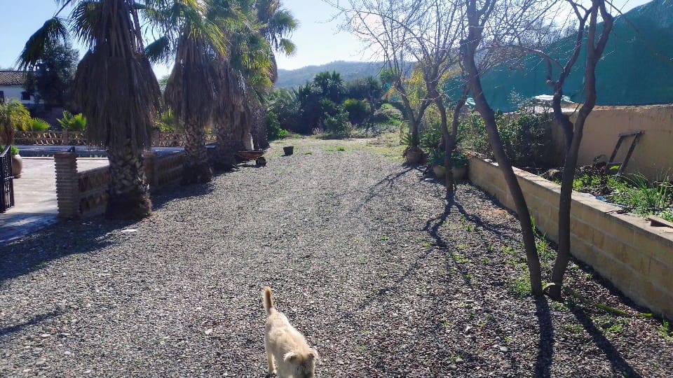 3 soveværelse Finca/Landehus til salg i Coin med swimmingpool garage - € 499.000 (Ref: 7459470)