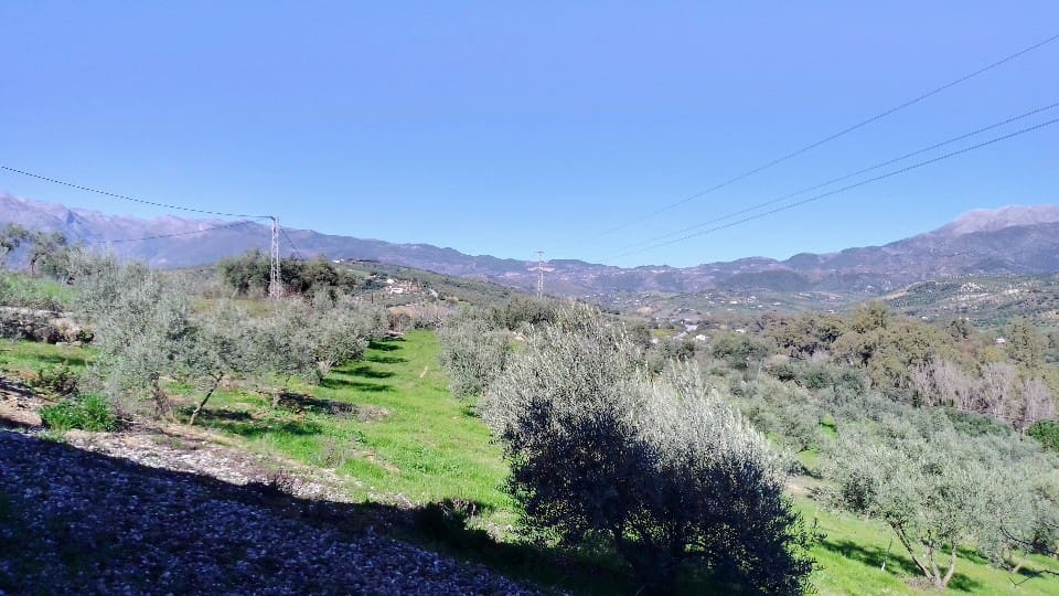 3 soveværelse Finca/Landehus til salg i Coin med swimmingpool garage - € 499.000 (Ref: 7459470)