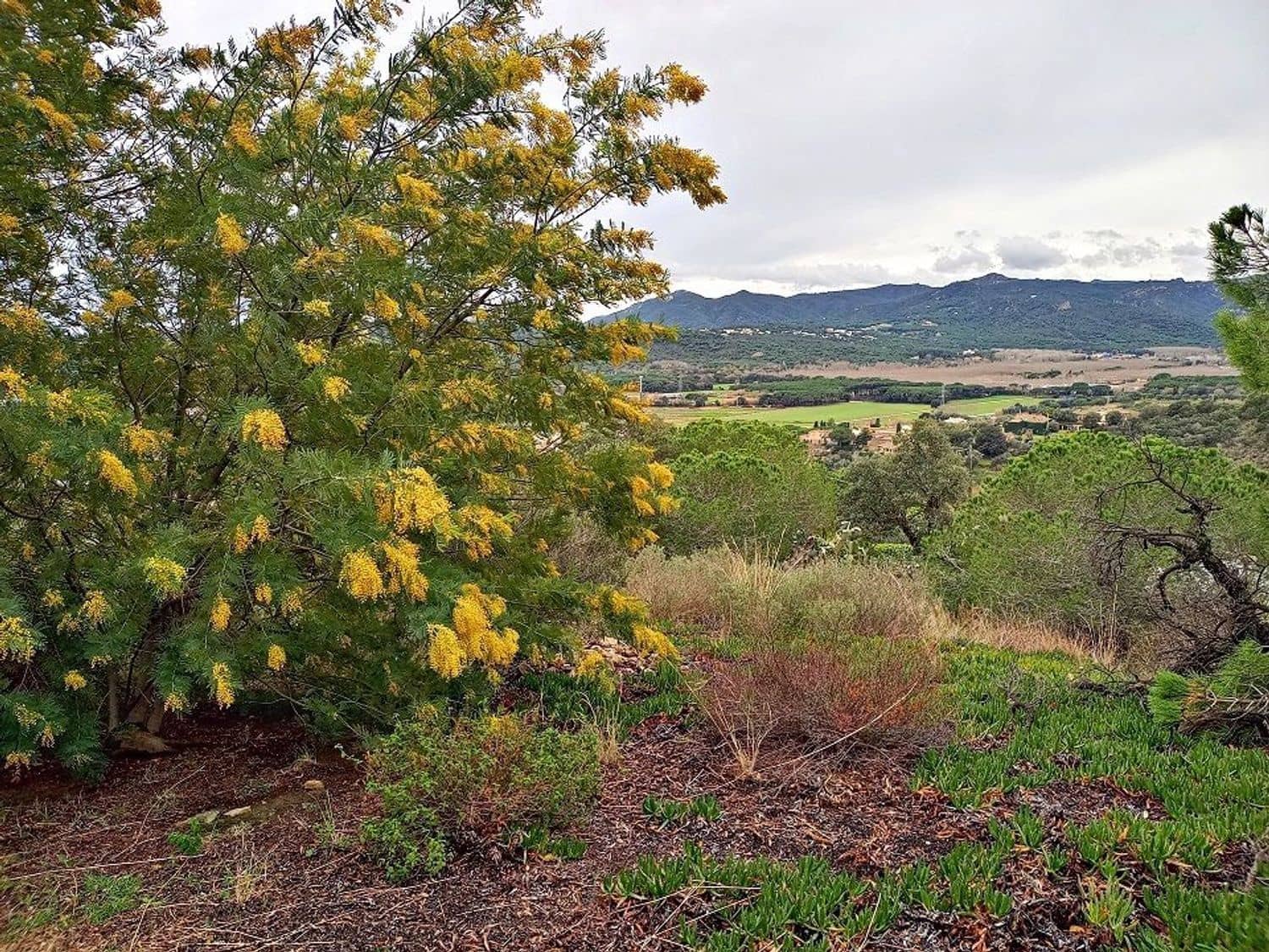 3 chambre Villa/Maison à vendre à Platja d'Aro - 695 000 € (Ref: 9101039)