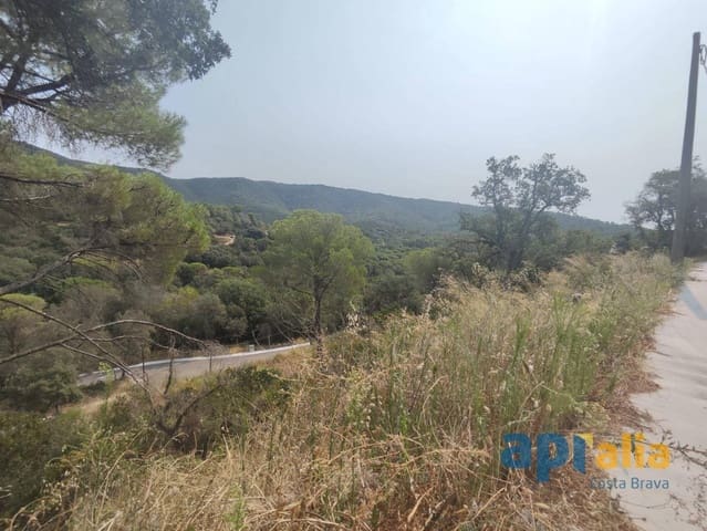 Rakentamaton maa myytävänä paikassa Calonge i Sant Antoni - 65 000 € (Ref: 9198463)