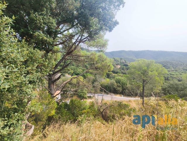 Rakentamaton maa myytävänä paikassa Calonge i Sant Antoni - 65 000 € (Ref: 9198463)