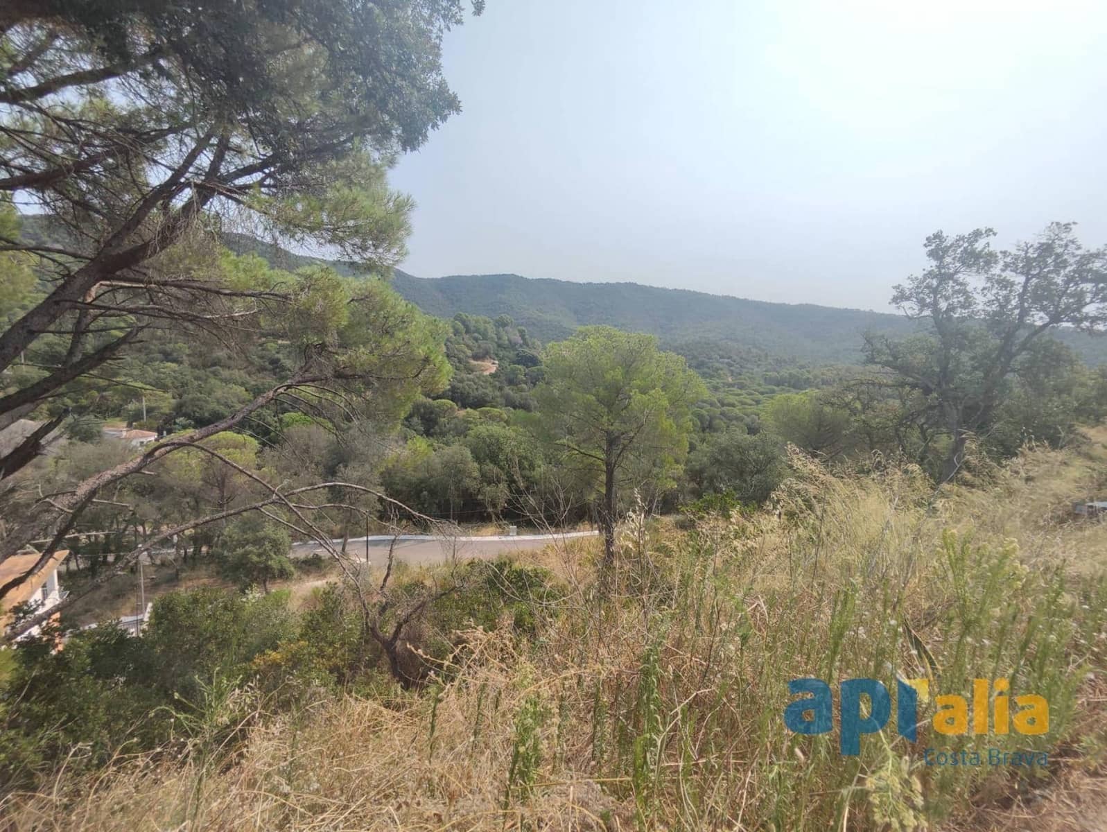 Byggegrund til salg i Calonge i Sant Antoni - € 45.000 (Ref: 9741756)