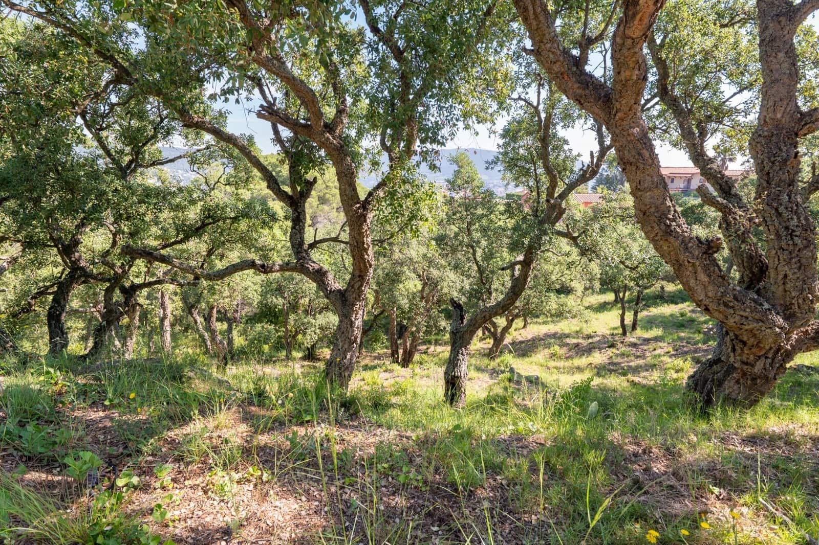 Building Plot for sale in Calonge i Sant Antoni - € 138,000 (Ref: 9876465)