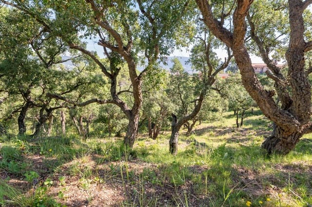 Building Plot for sale in Calonge i Sant Antoni - € 138,000 (Ref: 9876465)