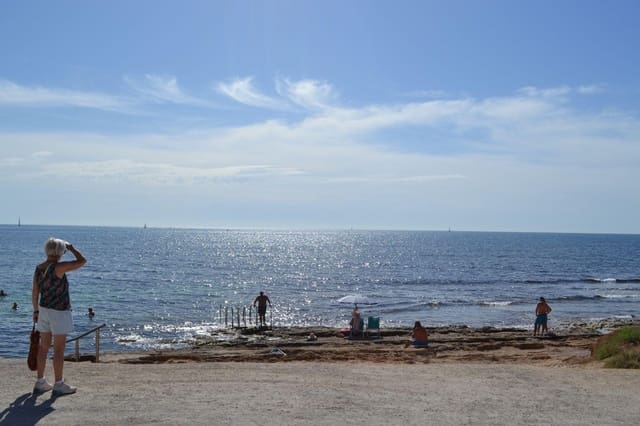 3 sypialnia Apartament do wynajęcia w La Veleta, Torrevieja - 950 € (Ref: 10139927)