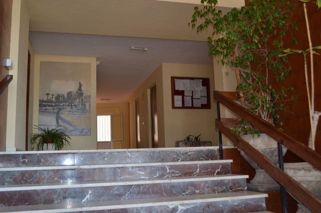 3 sypialnia Apartament do wynajęcia w La Veleta, Torrevieja - 950 € (Ref: 10139927)