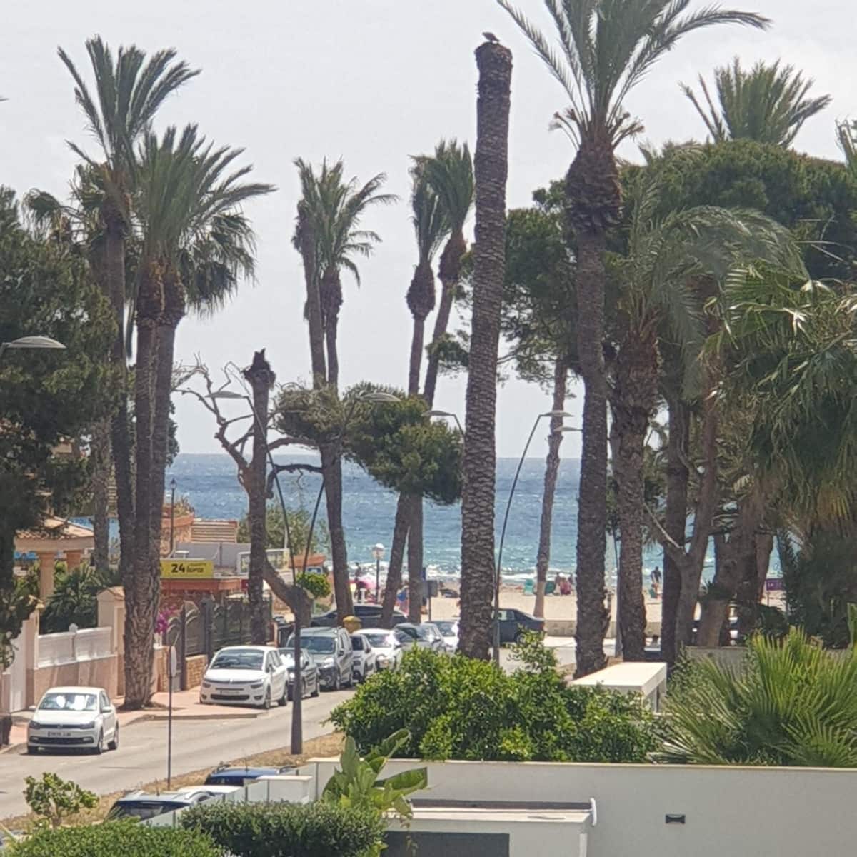 3 soveværelse Villa til leje i La Zenia med swimmingpool - € 2.200 (Ref: 9049070)
