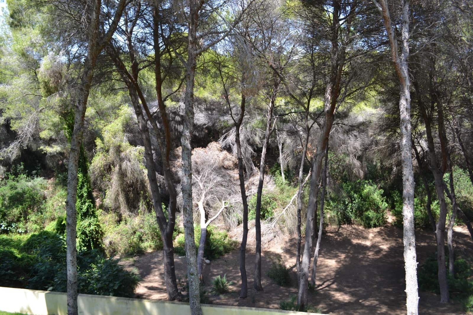 5 soveværelse Villa til salg i Campoamor med swimmingpool garage - € 1.845.000 (Ref: 9130379)