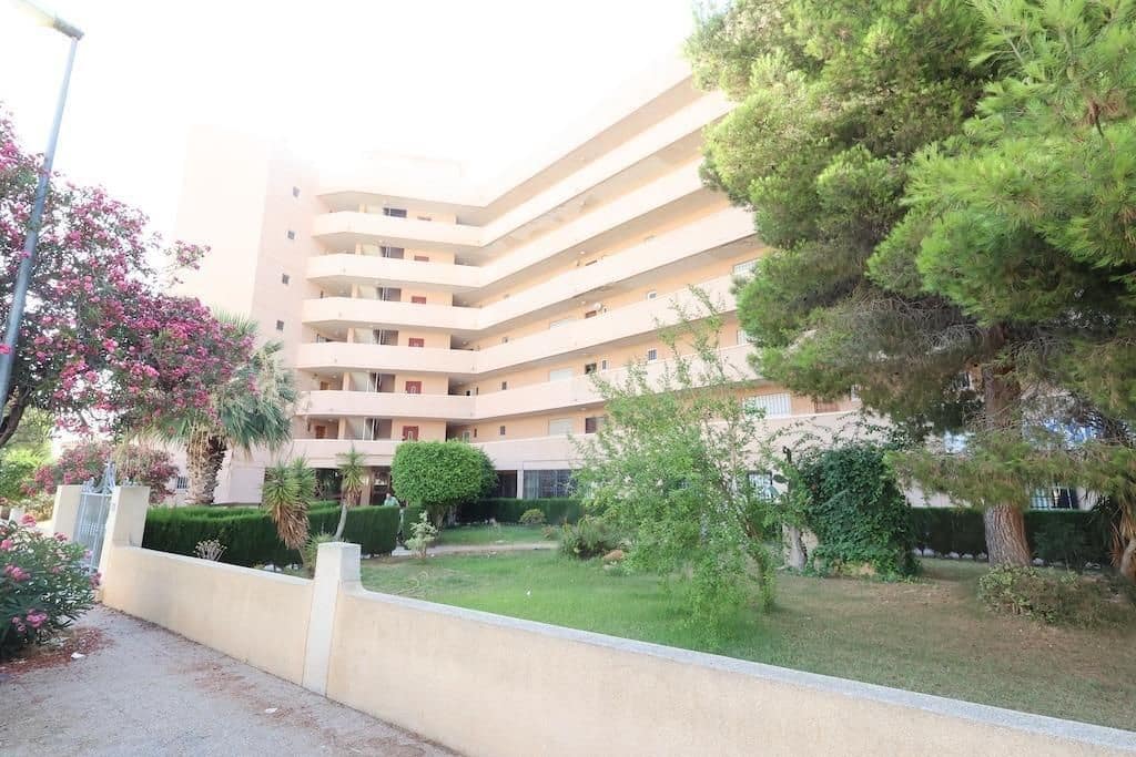 Business for sale in Cabo Roig with pool - € 135,000 (Ref: 9401954)