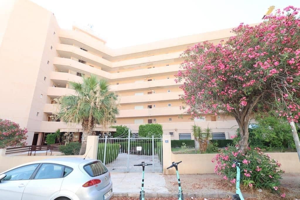 Business for sale in Cabo Roig with pool - € 135,000 (Ref: 9401954)