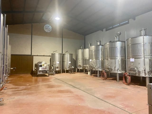 1 soveværelse Virksomhed til salg i Chinchilla de Monte-Aragón - € 2.500.000 (Ref: 9882103)