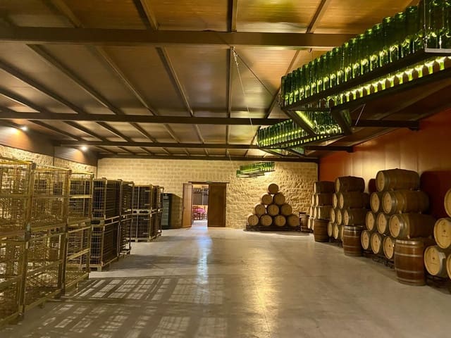 1 soveværelse Virksomhed til salg i Chinchilla de Monte-Aragón - € 2.500.000 (Ref: 9882103)