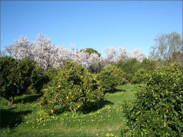 Chalet de 4 habitaciones en Dénia en venta con piscina - 735.000 € (Ref: 6958429)