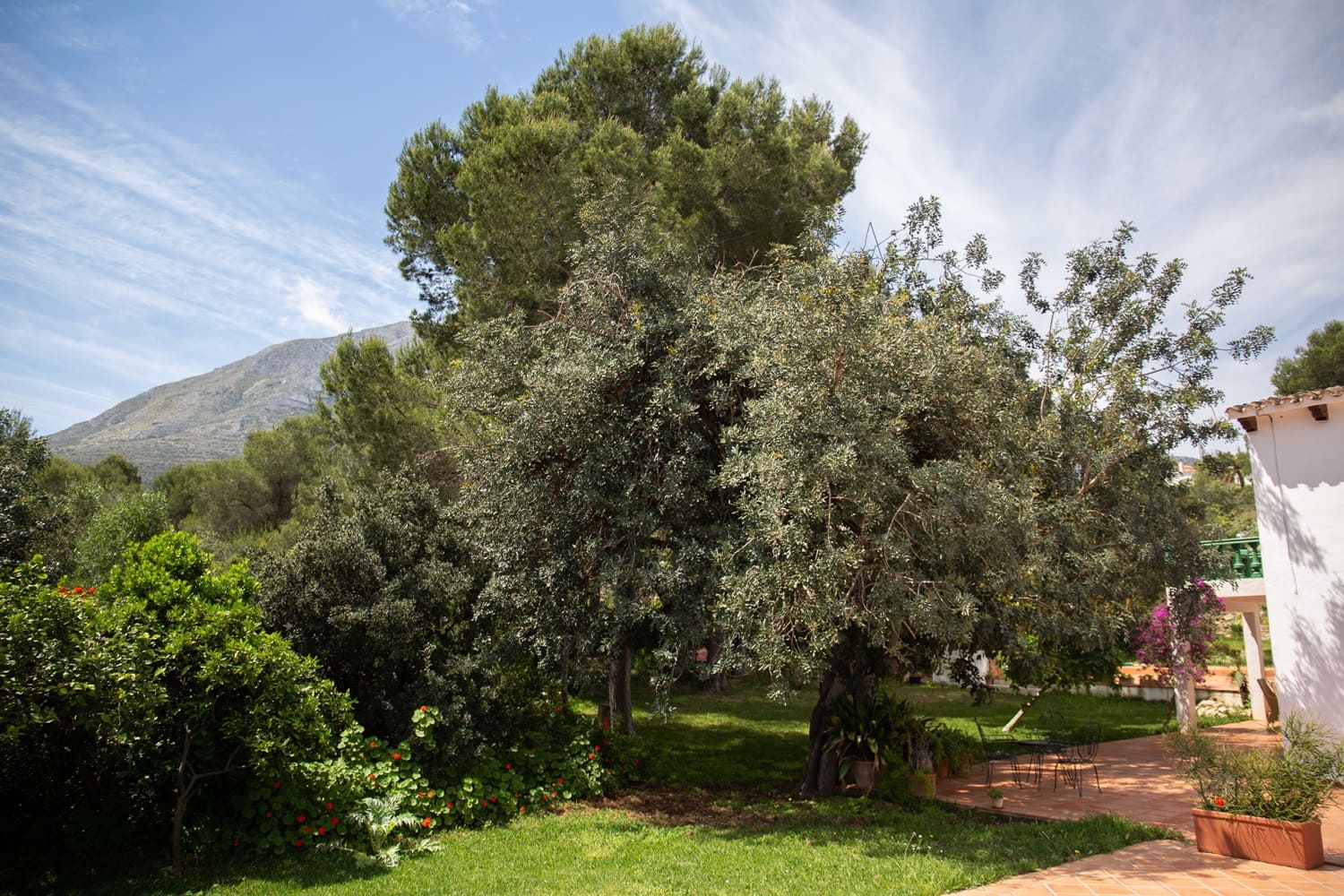 8 soverom Finca/Herregård til salgs i Denia - € 1 250 000 (Ref: 7664141)