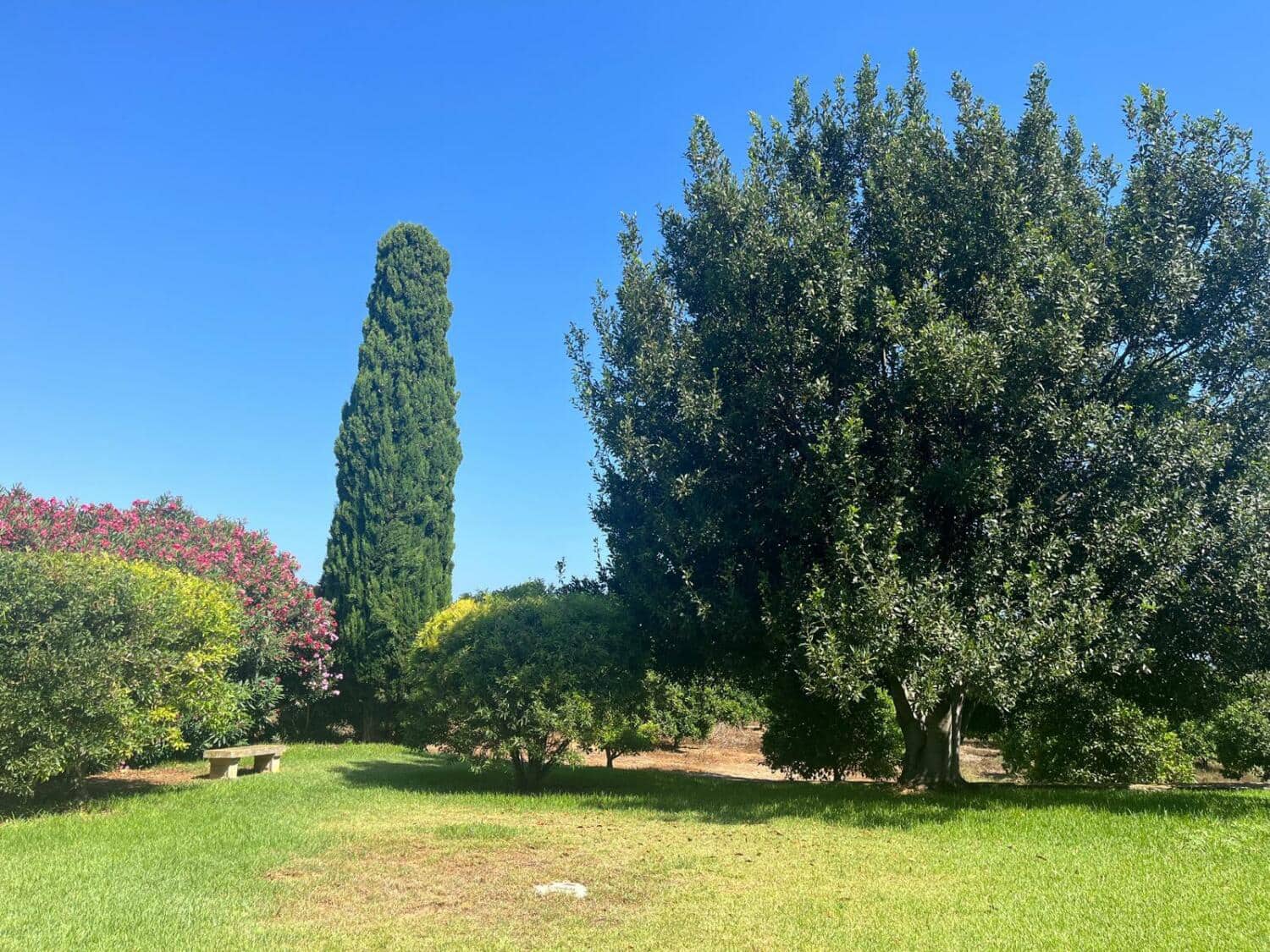 6 makuuhuone Huvila myytävänä paikassa Denia mukana uima-altaan 
autotalli - 1 280 000 € (Ref: 7733161)