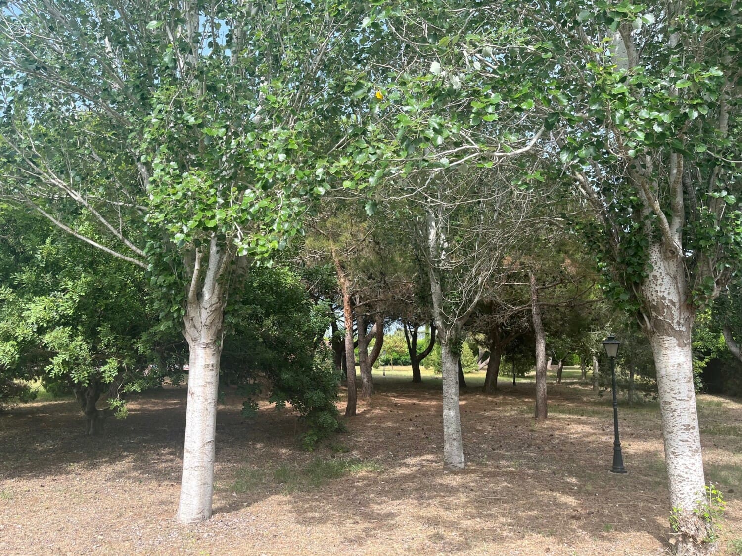 6 makuuhuone Huvila myytävänä paikassa Denia mukana uima-altaan 
autotalli - 1 280 000 € (Ref: 7733161)