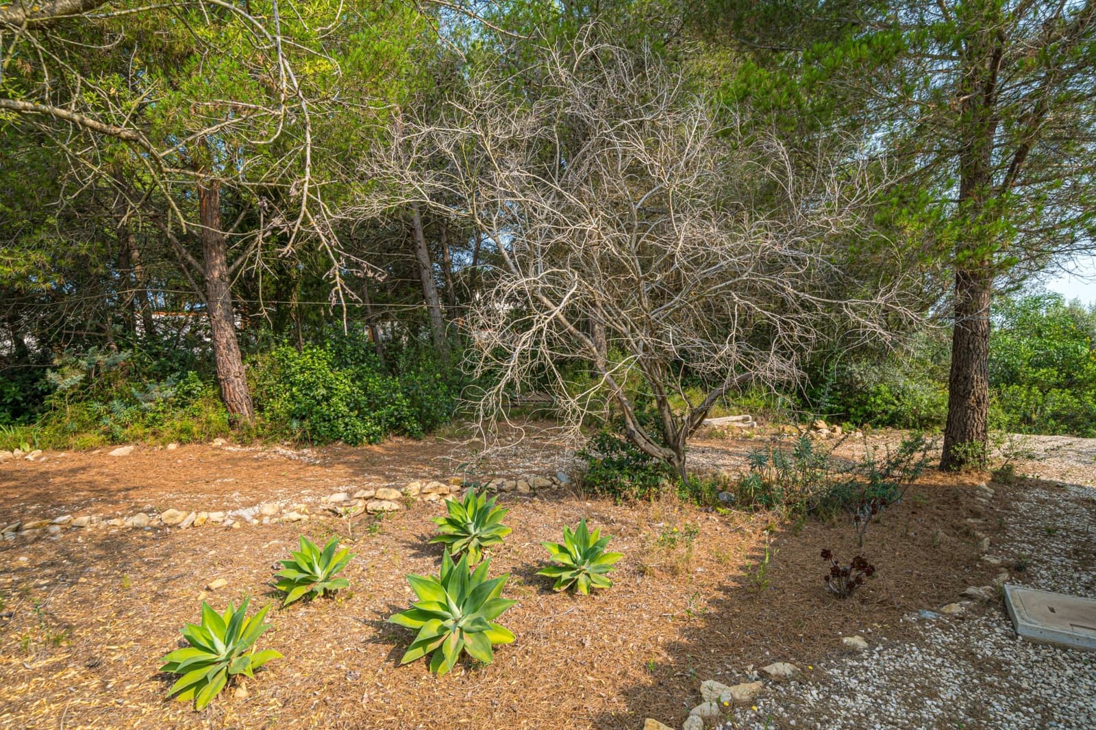 3 quarto Moradia para venda em Lliber com piscina - 415 000 € (Ref: 7937150)