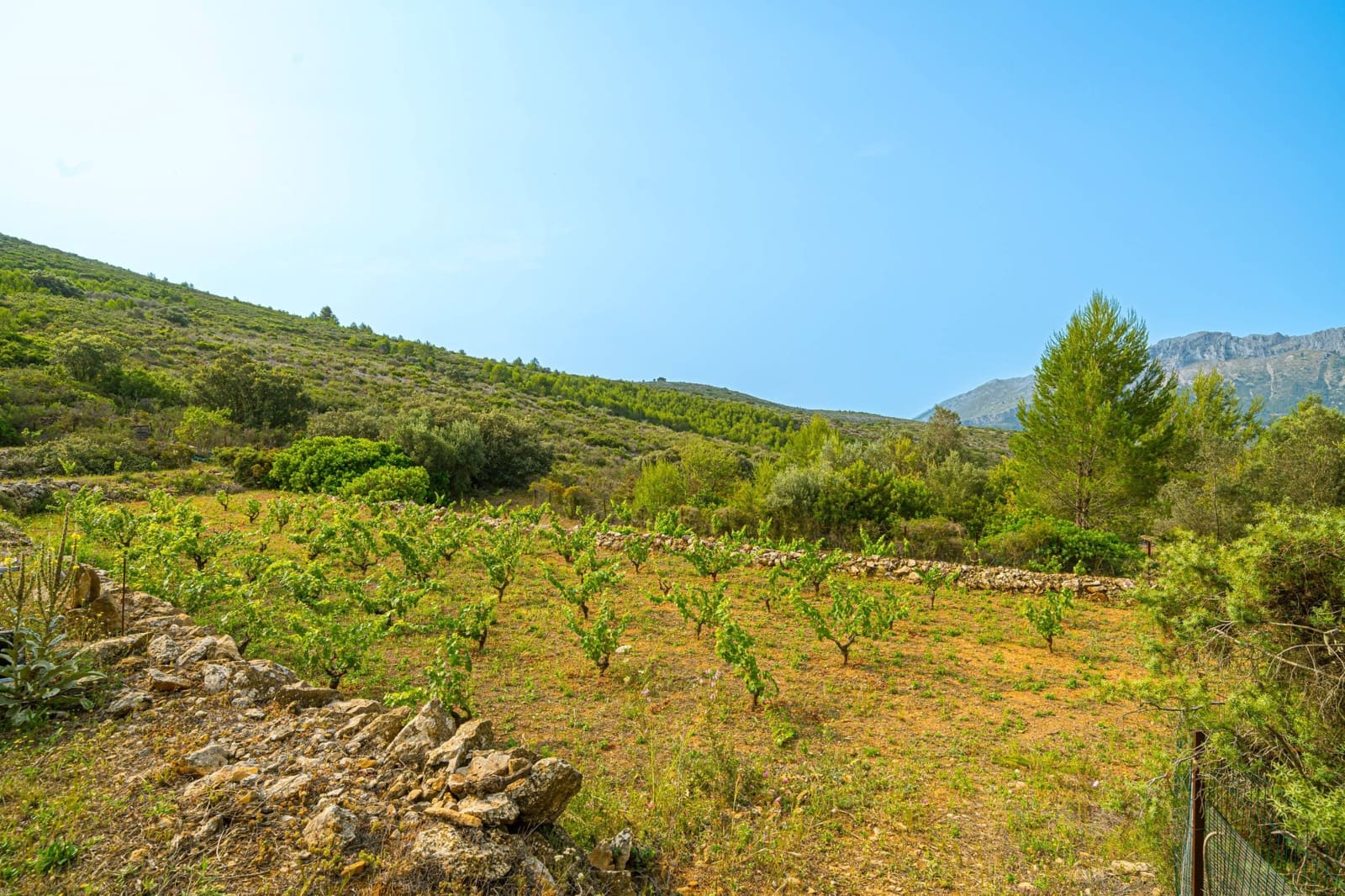 3 quarto Moradia para venda em Lliber com piscina - 415 000 € (Ref: 7937150)