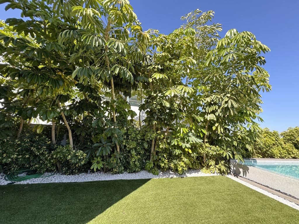 5 soveværelse Villa til salg i La Caleta Adeje med swimmingpool garage - € 3.950.000 (Ref: 9112602)