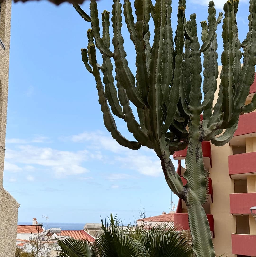 Apartamento de 1 habitación en Costa Adeje en venta con piscina - 235.000 € (Ref: 9827621)