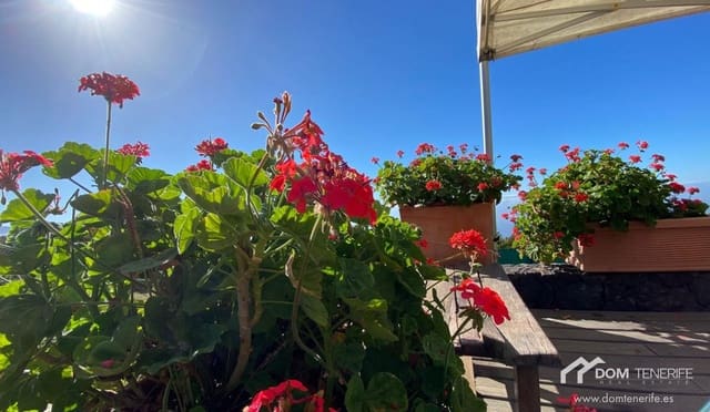 1 sovrum Finca/Hus på landet till salu i La Orotava - 329 000 € (Ref: 6482703)