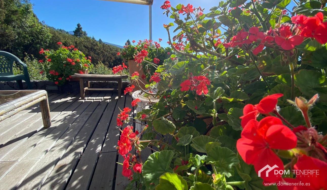 1 sovrum Finca/Hus på landet till salu i La Orotava - 329 000 € (Ref: 6482703)