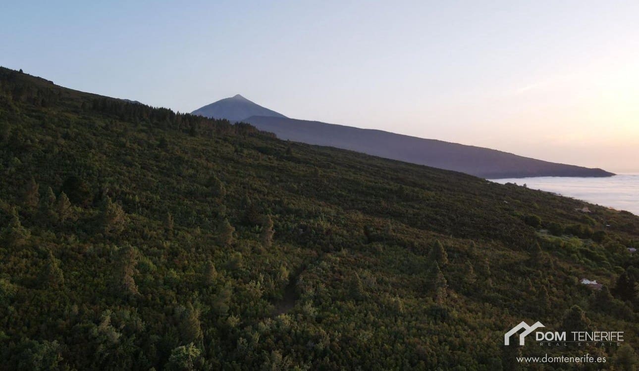 1 sovrum Finca/Hus på landet till salu i La Orotava - 329 000 € (Ref: 6482703)