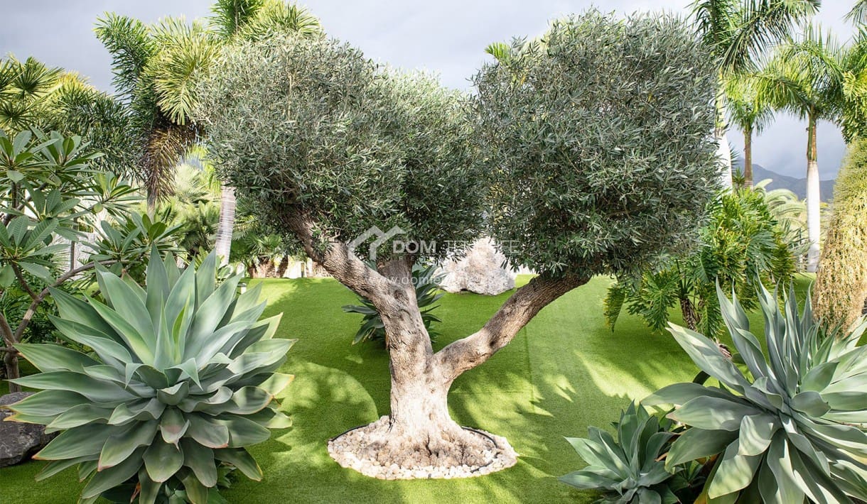 6 sypialnia Willa na sprzedaż w La Caleta Adeje z basenem garażem - 5 750 000 € (Ref: 7554839)