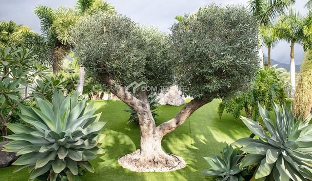 6 sypialnia Willa na sprzedaż w La Caleta Adeje, Adeje z basenem garażem - 5 750 000 € (Ref: 7554839)