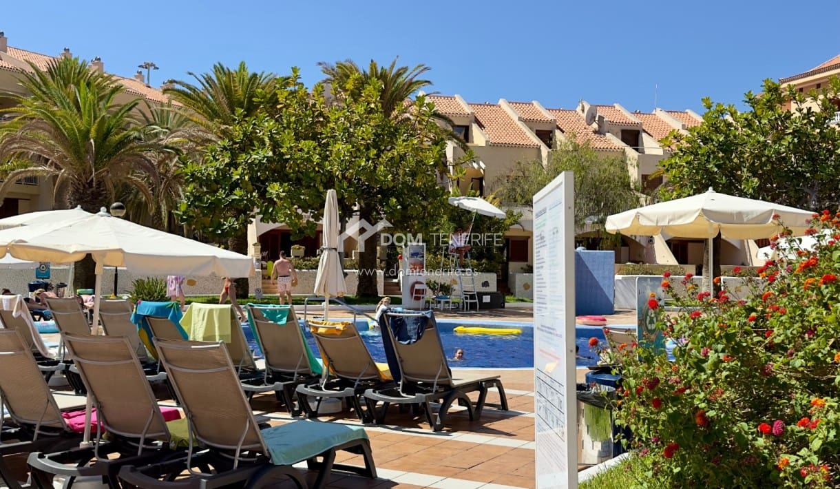 1 sovrum Lägenhet att hyra i Playa de las Americas med pool - 1 600 € (Ref: 9116493)