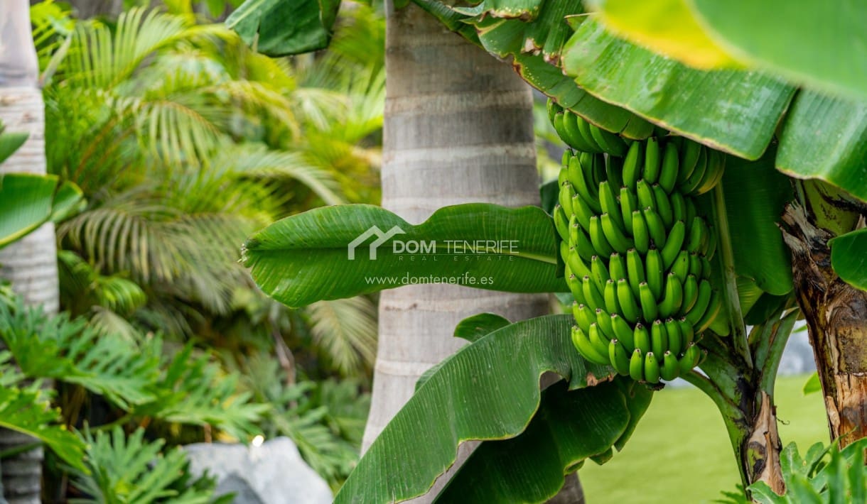 4 makuuhuone Huvila myytävänä paikassa Guia de Isora mukana uima-altaan 
autotalli - 4 290 000 € (Ref: 9374564)