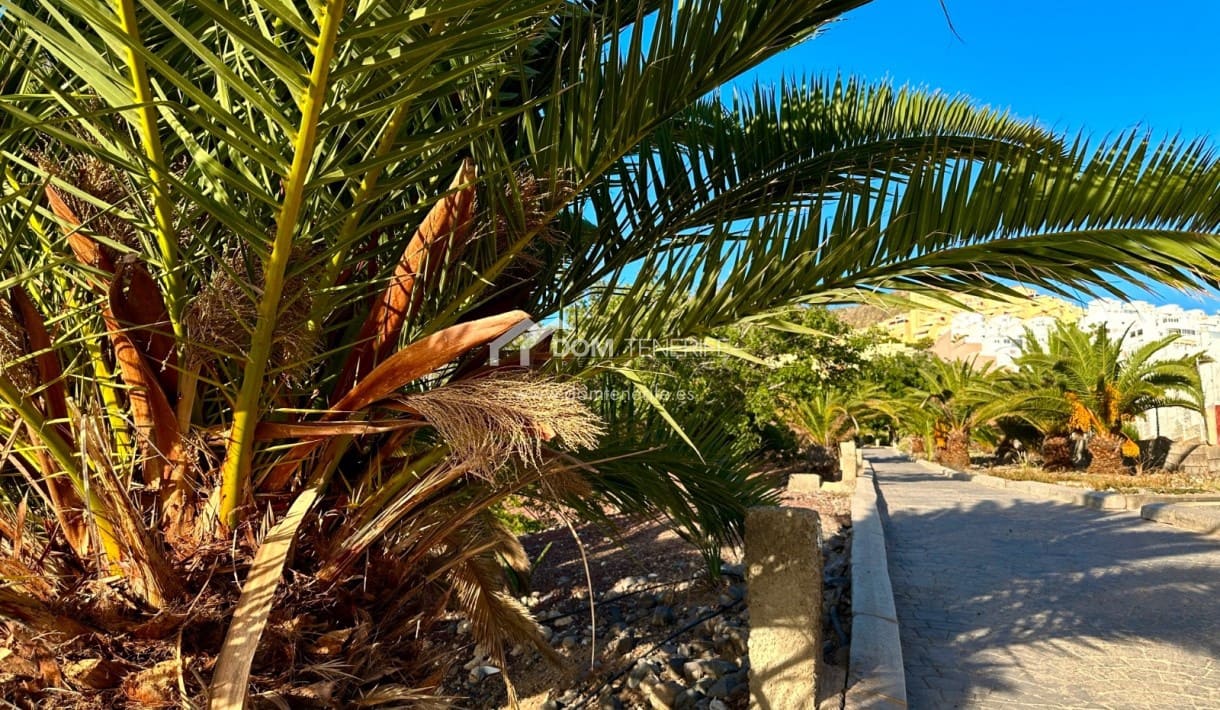 2 chambre Appartement à vendre à Torviscas avec piscine - 365 000 € (Ref: 9403154)